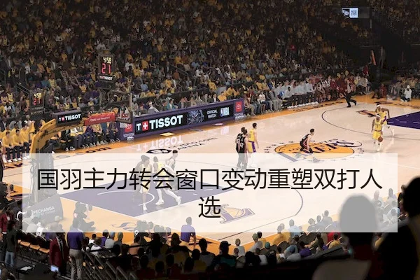 国羽主力转会窗口变动重塑双打人选
